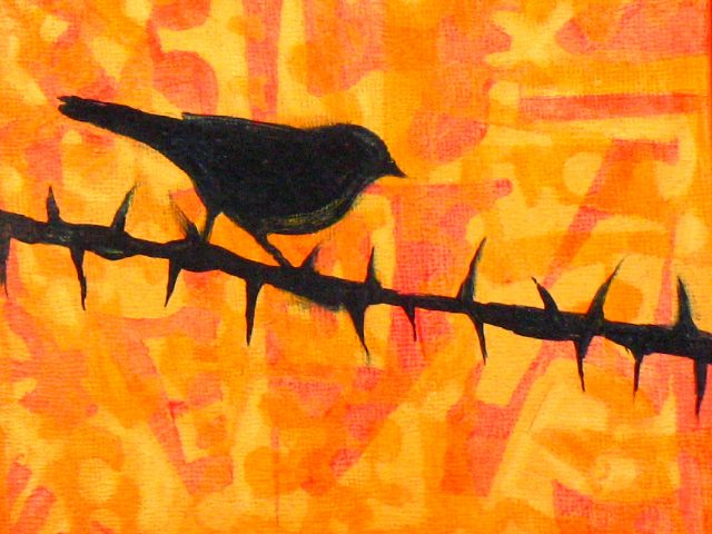 An Abundance of Caution