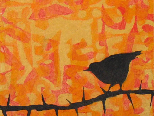 An Abundance of Caution 2